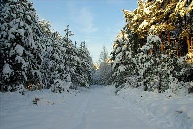 粉丝创作《塞尔达传说：王国之泪》8比特主题曲