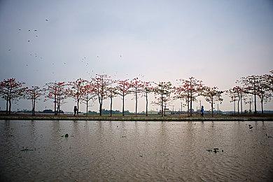 -54%！《极限竞速：地平线5》黑五史低组合包特惠！报名“跨年杯”赢豪礼